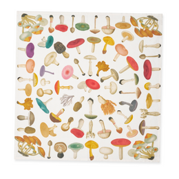 Summerill & Bishop x John Derian "Fungi" Linen Napkin Set of 6 in White