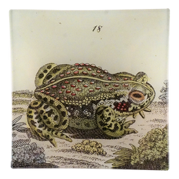 Frog #18 - FINAL SALE