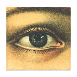 Summerill & Bishop x John Derian "Eye" Linen Napkin Set of 6