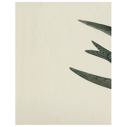 Swift Bird (Swallow) (p 45)