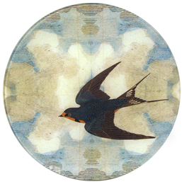 Swallow in Flight (Flying Left)