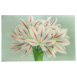 Brunswigia Massaiana