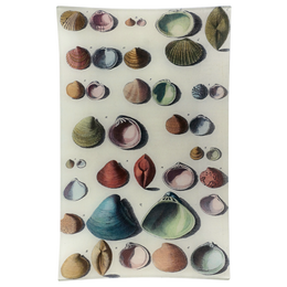 Chart of Small Shells