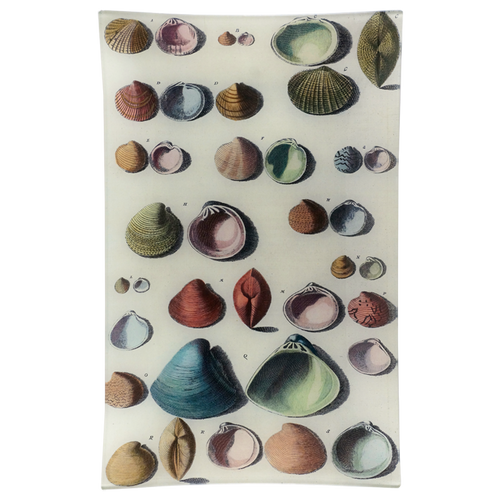 Chart of Small Shells
