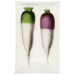 X - Navet du Palatinat (Vegetable)