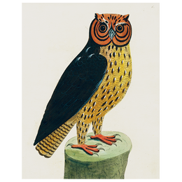 Horn Owl (p 119)
