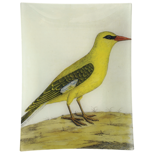 #20 - Bengali Yellow Bird