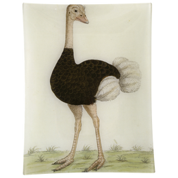 #24 - Ostrich