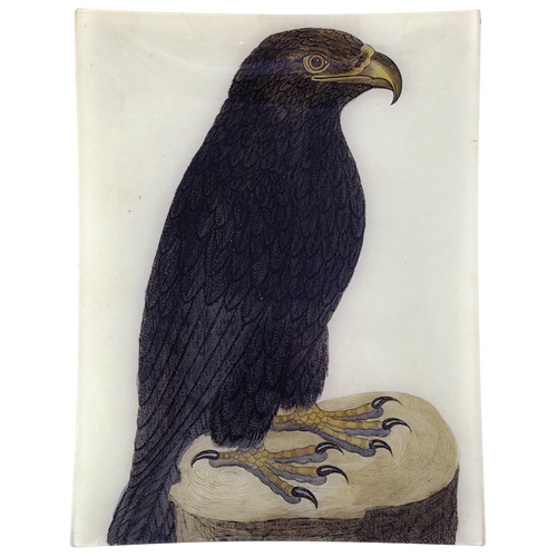 #41 - Black Eagle