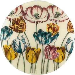 Tulips - LAST CHANCE