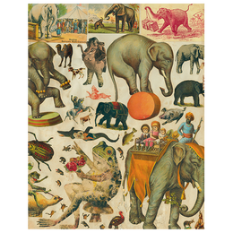 Circus Elephant (p 210)
