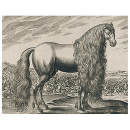 Fantasy Horse (p 270)