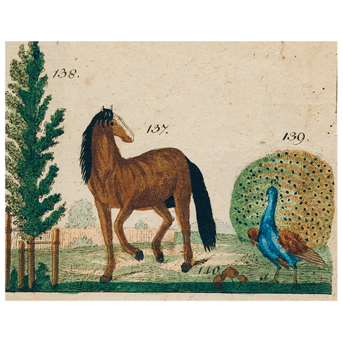 Horse and Peacock (p 277)