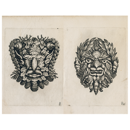 Shell Portraits (p 311)