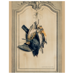 Game Birds: Dark (p 332)