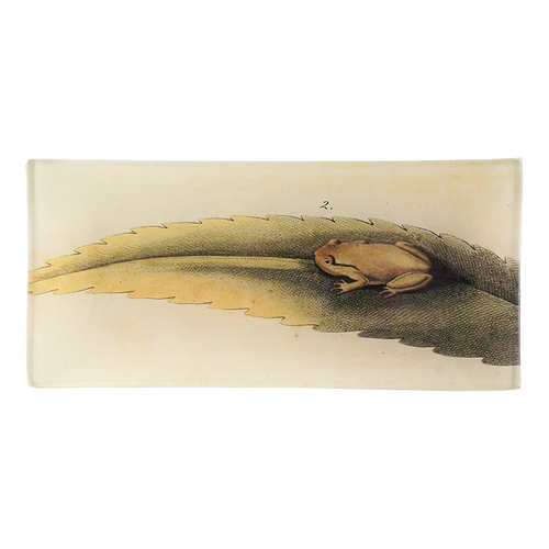 Frog on Leaf- FINAL SALE