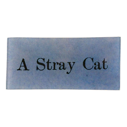 A Stray Cat
