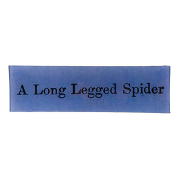 A Long Legged Spider