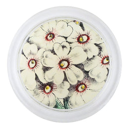 White Primula - FINAL SALE