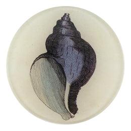 A four inch round handmade decoupage plate of a Purple Shell on a cream background
