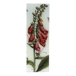 Foxglove