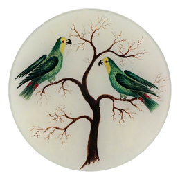 Two Parrots