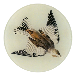 Snow Lark - LAST CHANCE