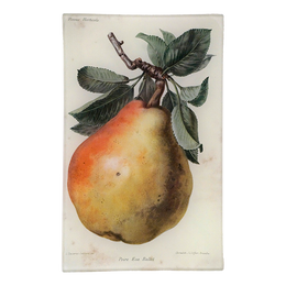Poire