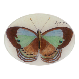Fig. 7 bis Butterfly - FINAL SALE