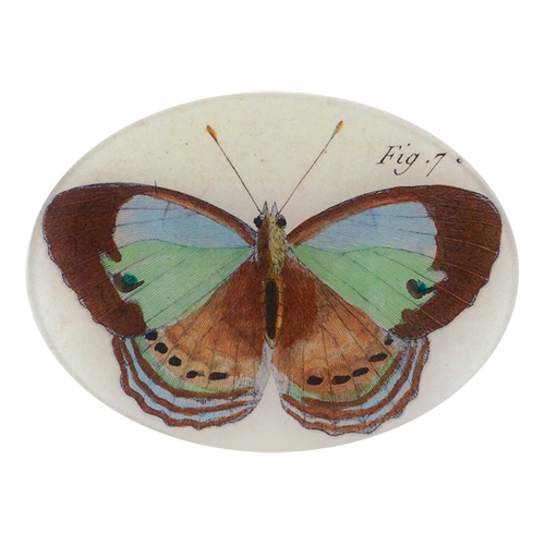 Fig. 7 bis Butterfly - FINAL SALE