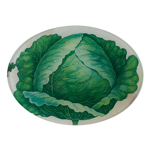 Scrapbook Cabbage