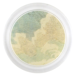 Bison Cloud - LAST CHANCE