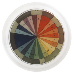 Color Wheel - FINAL SALE