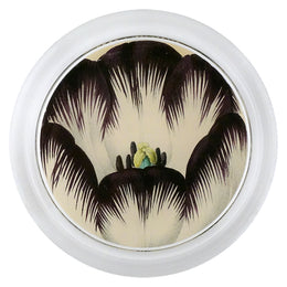 Brown White Tulip - LAST CHANCE