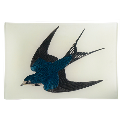 Barn Swallow - FINAL SALE