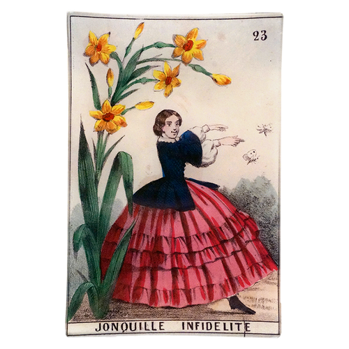 Daffodil - Infidelity