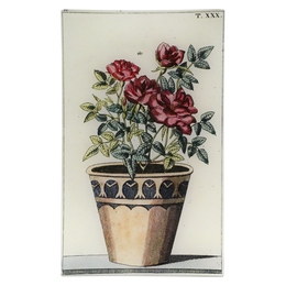 Potted Rose - FINAL SALE