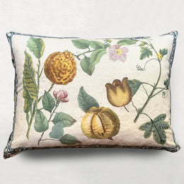 Lemons Canvas