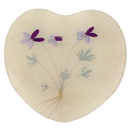Bird's Foot Violet