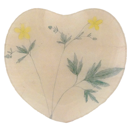 Creeping Cinquefoil-LAST CHANCE