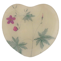 Wild Geranium