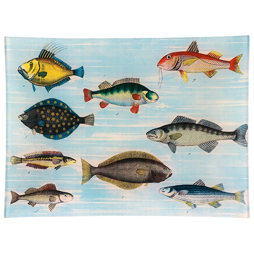 School of Fish