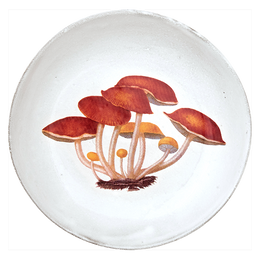 Agaric Amer Soup Bowl