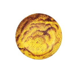 Malus Poma (Lemon) Saucer