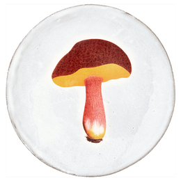 Bolet Chrysentere Plate