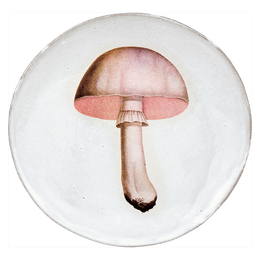 White Champignon Comestible Plate