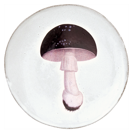 Agaric Fuligineux Plate