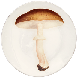 Agaric Blanc Fauve Dinner Plate