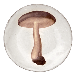 Agaric Nebuleux Plate