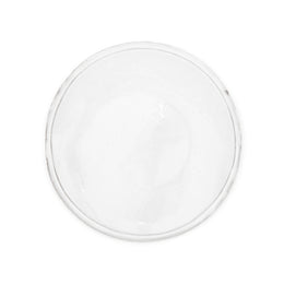 Simple Medium Dinner Plate